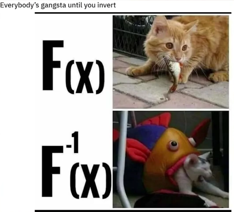 Inverse-function meme showing a cat catching a fish for F of x and a fish catching a cat for inverse F of x.